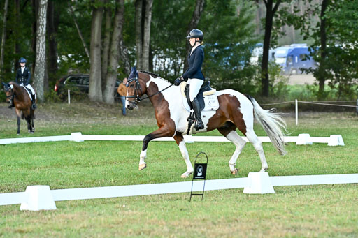  | 28092025 Dressur Intro _007 