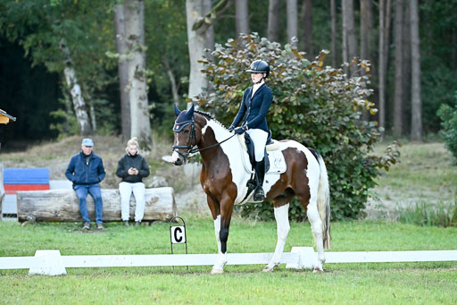  | 28092025 Dressur Intro _008 