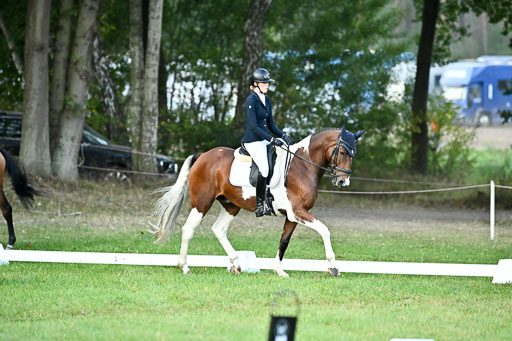  | 28092025 Dressur Intro _009 