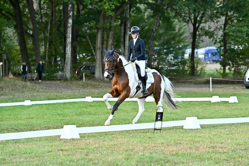  | 28092025 Dressur Intro _010 