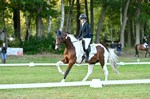  | 28092025 Dressur Intro _011 