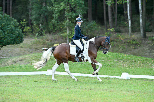  | 28092025 Dressur Intro _012 