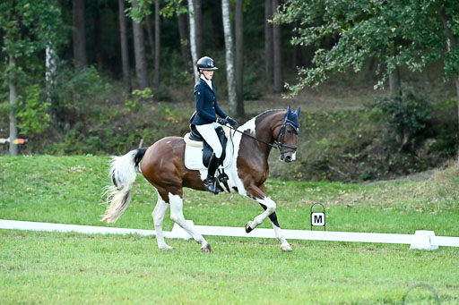  | 28092025 Dressur Intro _013 