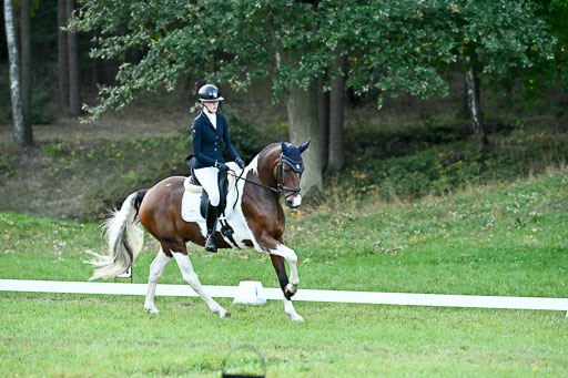  | 28092025 Dressur Intro _014 