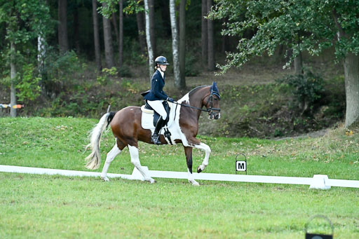  | 28092025 Dressur Intro _015 