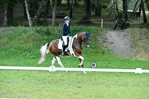  | 28092025 Dressur Intro _017 