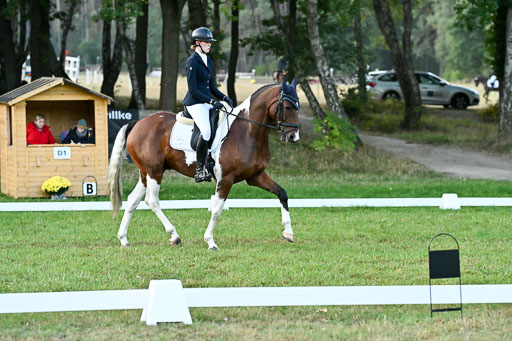  | 28092025 Dressur Intro _018 