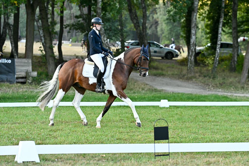  | 28092025 Dressur Intro _019 