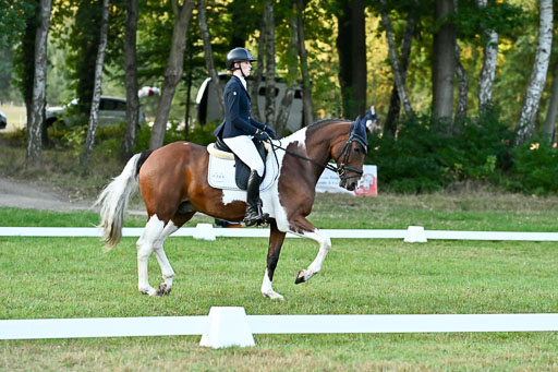  | 28092025 Dressur Intro _020 