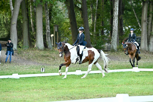  | 28092025 Dressur Intro _021 