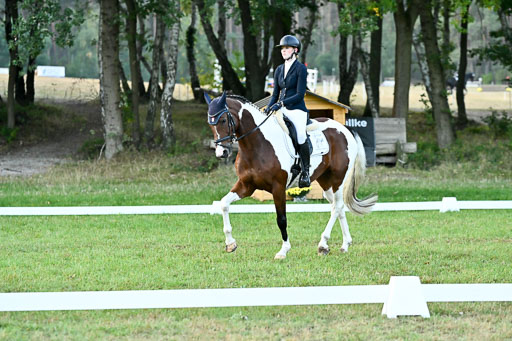  | 28092025 Dressur Intro _022 