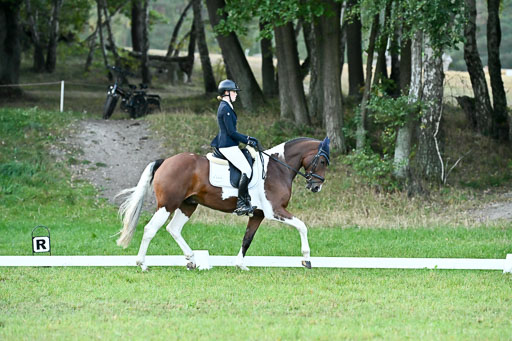  | 28092025 Dressur Intro _024 