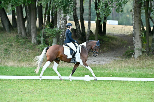  | 28092025 Dressur Intro _025 