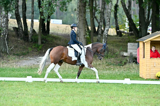  | 28092025 Dressur Intro _026 