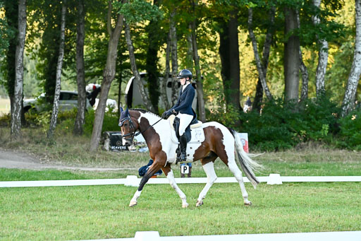  | 28092025 Dressur Intro _027 