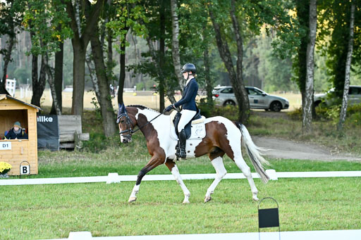  | 28092025 Dressur Intro _028 