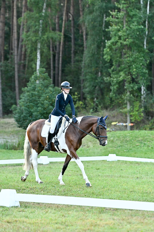  | 28092025 Dressur Intro _030 