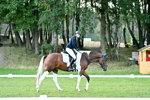  | 28092025 Dressur Intro _032 