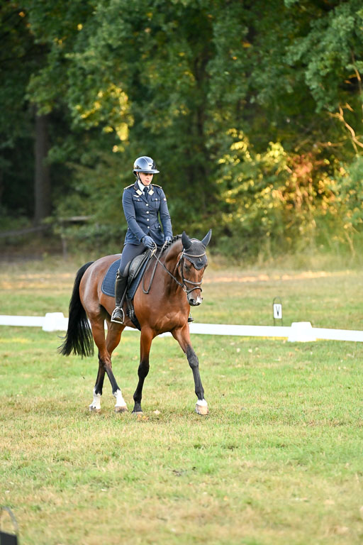  | 28092025 Dressur Intro _034 