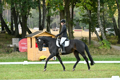  | 28092025 Dressur Intro _035 