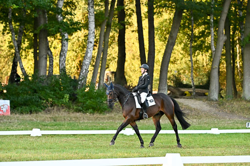  | 28092025 Dressur Intro _036 