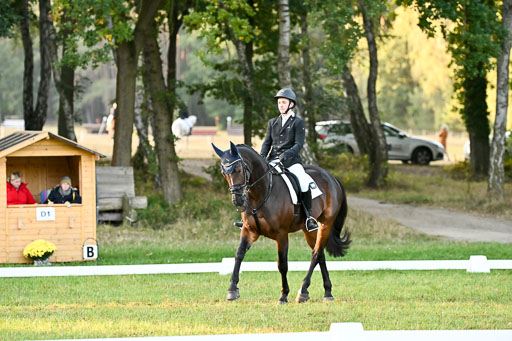  | 28092025 Dressur Intro _046 