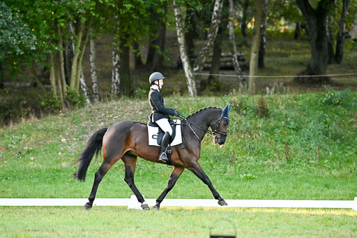  | 28092025 Dressur Intro _047 