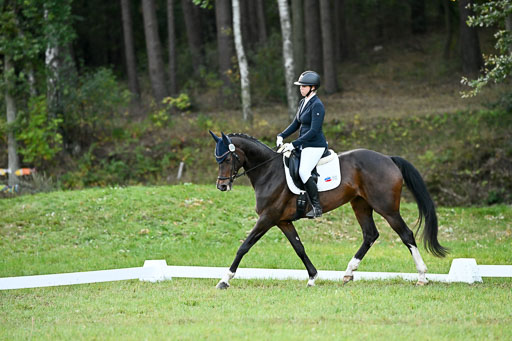  | 28092025 Dressur Intro _048 