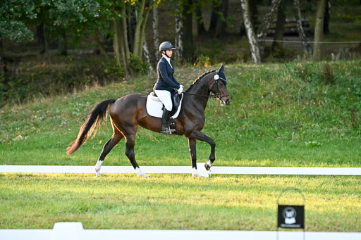  | 28092025 Dressur Intro _050 