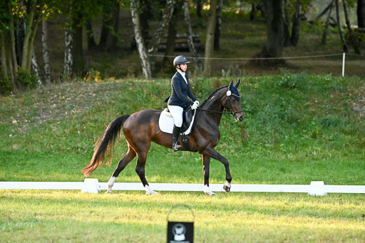  | 28092025 Dressur Intro _051 