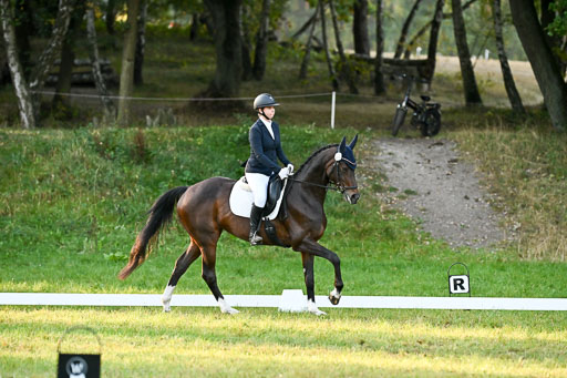  | 28092025 Dressur Intro _052 