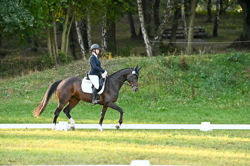  | 28092025 Dressur Intro _054 