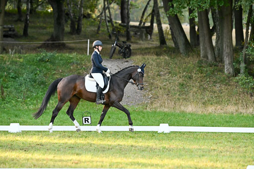  | 28092025 Dressur Intro _055 