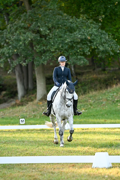  | 28092025 Dressur Intro _056 