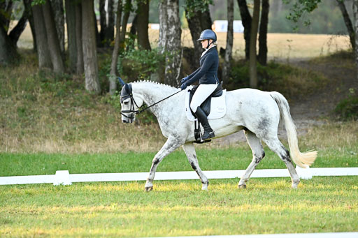  | 28092025 Dressur Intro _058 