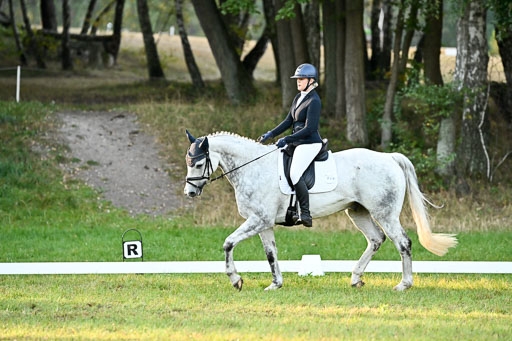  | 28092025 Dressur Intro _059 