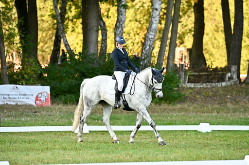  | 28092025 Dressur Intro _060 