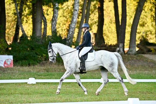  | 28092025 Dressur Intro _061 
