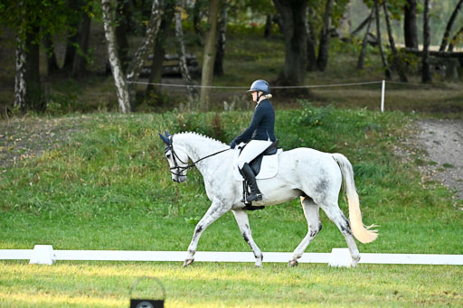  | 28092025 Dressur Intro _062 