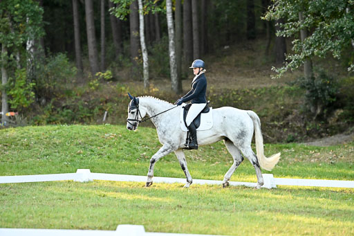  | 28092025 Dressur Intro _063 