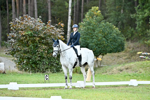  | 28092025 Dressur Intro _064 