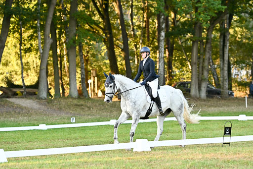  | 28092025 Dressur Intro _065 
