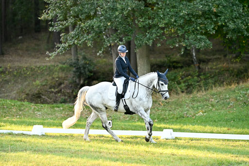  | 28092025 Dressur Intro _066 