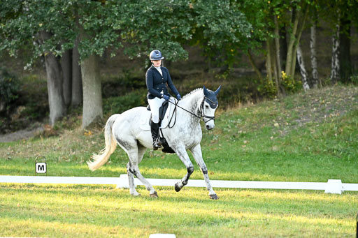  | 28092025 Dressur Intro _067 