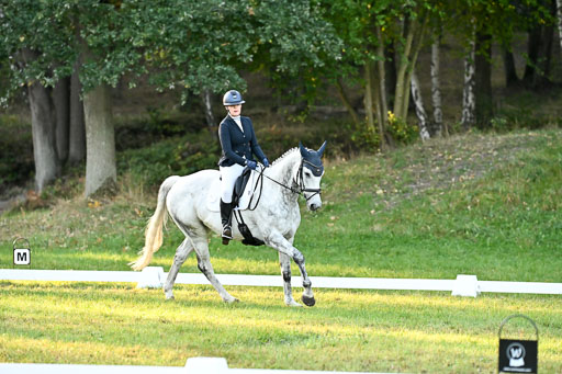  | 28092025 Dressur Intro _068 
