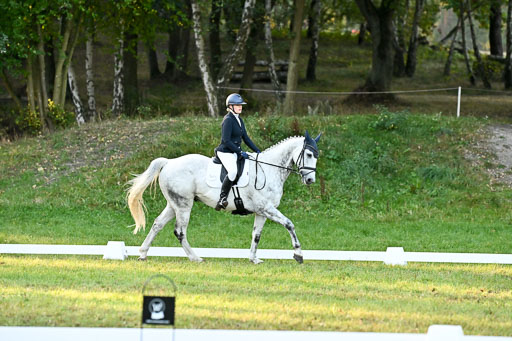  | 28092025 Dressur Intro _069 