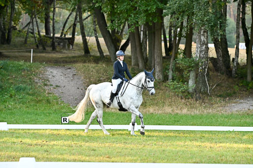  | 28092025 Dressur Intro _070 