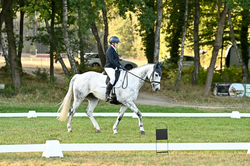  | 28092025 Dressur Intro _071 