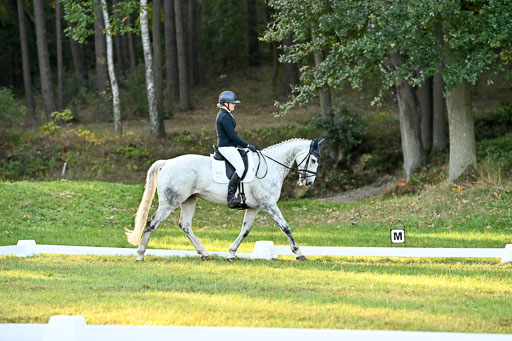  | 28092025 Dressur Intro _072 