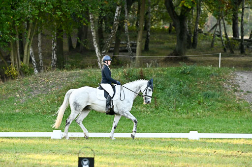  | 28092025 Dressur Intro _074 